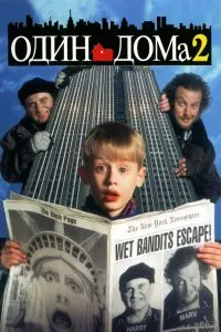  Один дома 2: Затерянный в Нью-Йорке . Постер на Лордфильм в идеальном качестве